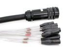 SIB Series 12 Channel Fan Out Cables - XLR male